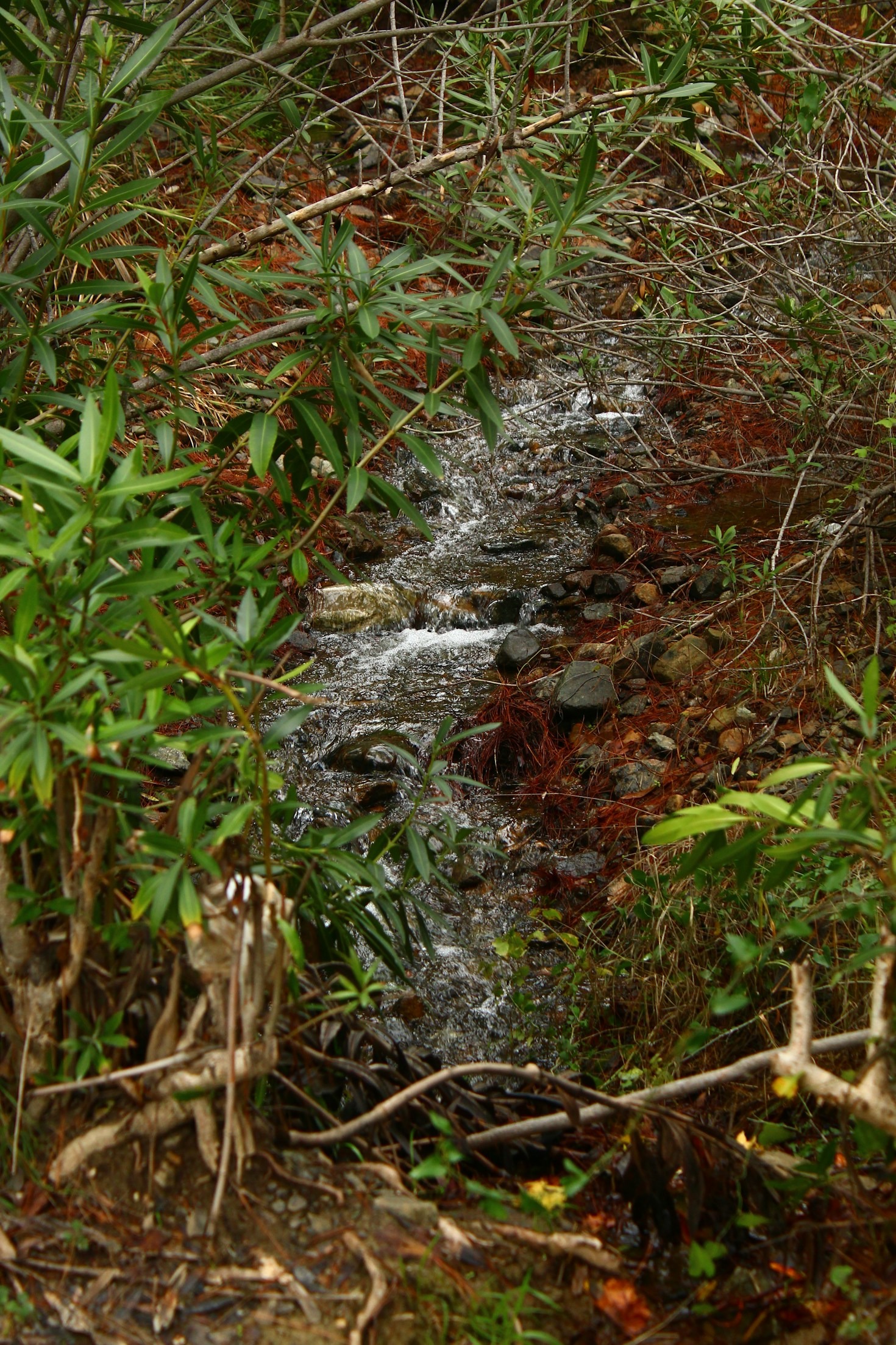 Effective Waste Management in Sustainable Projects